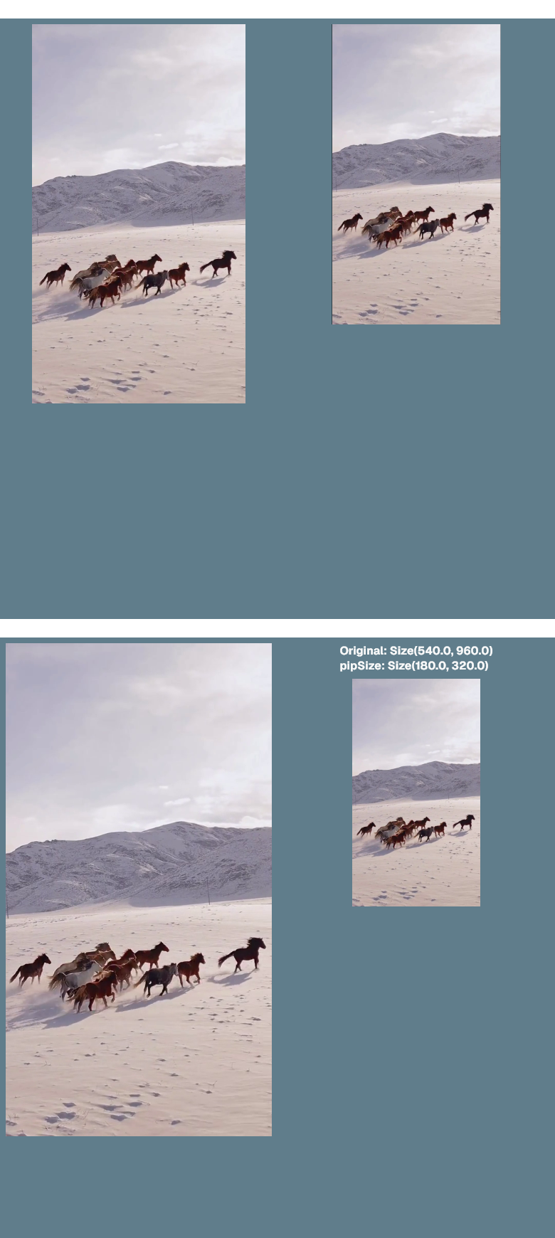 Media Widget 9 16