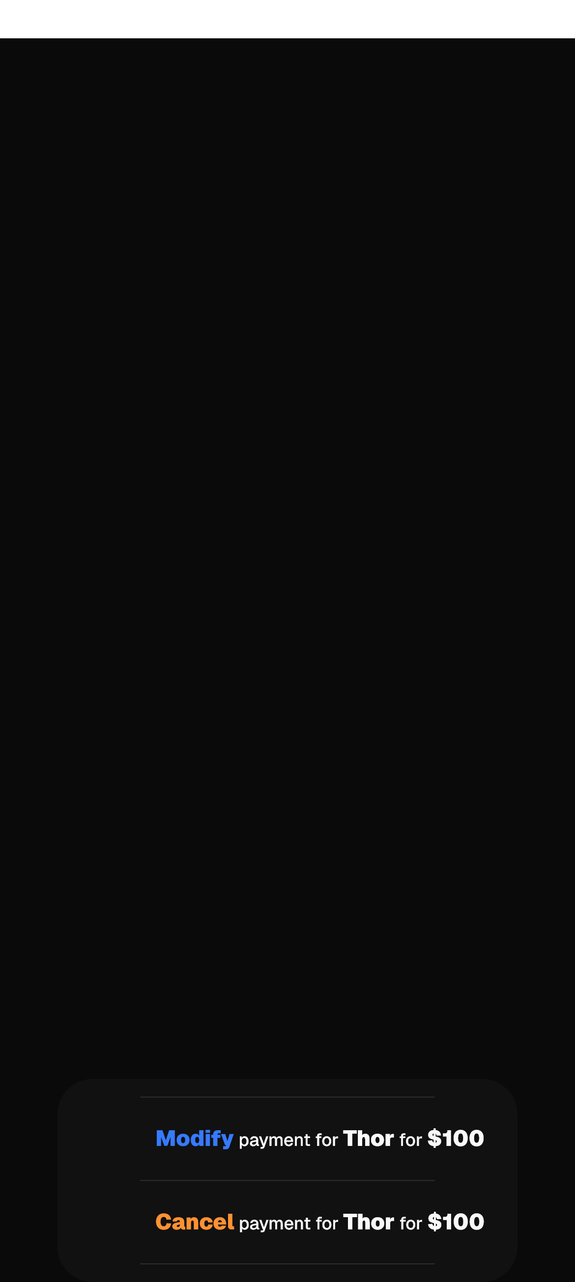 Modify Payment Modal